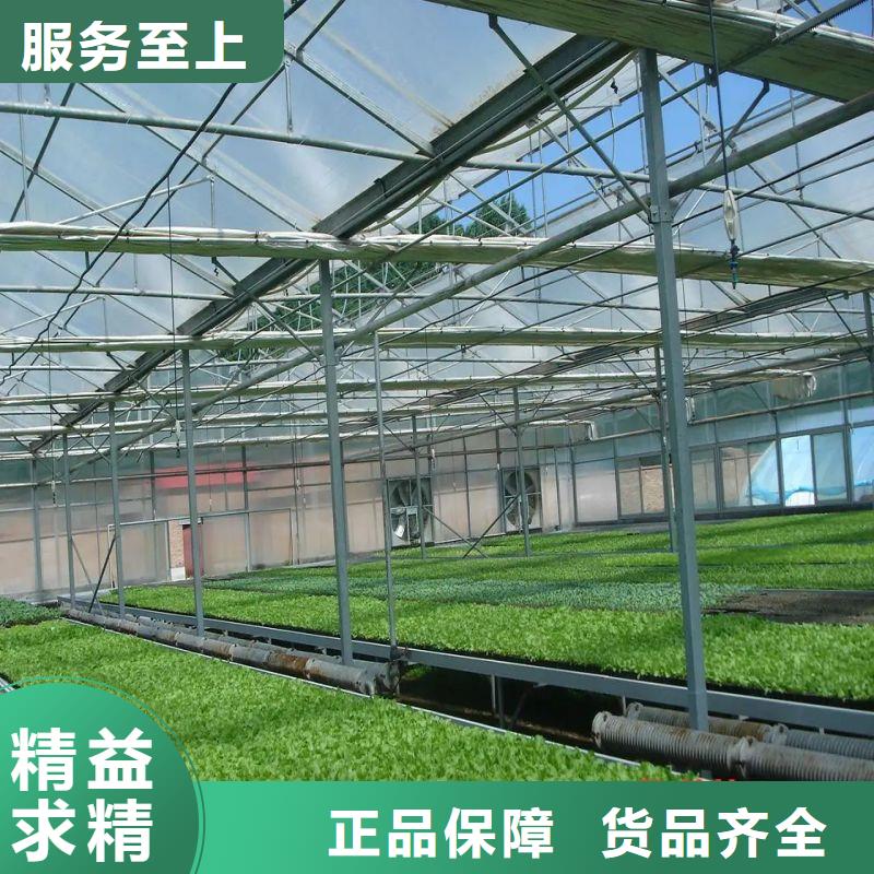 文登区塑料薄膜温室喜欢