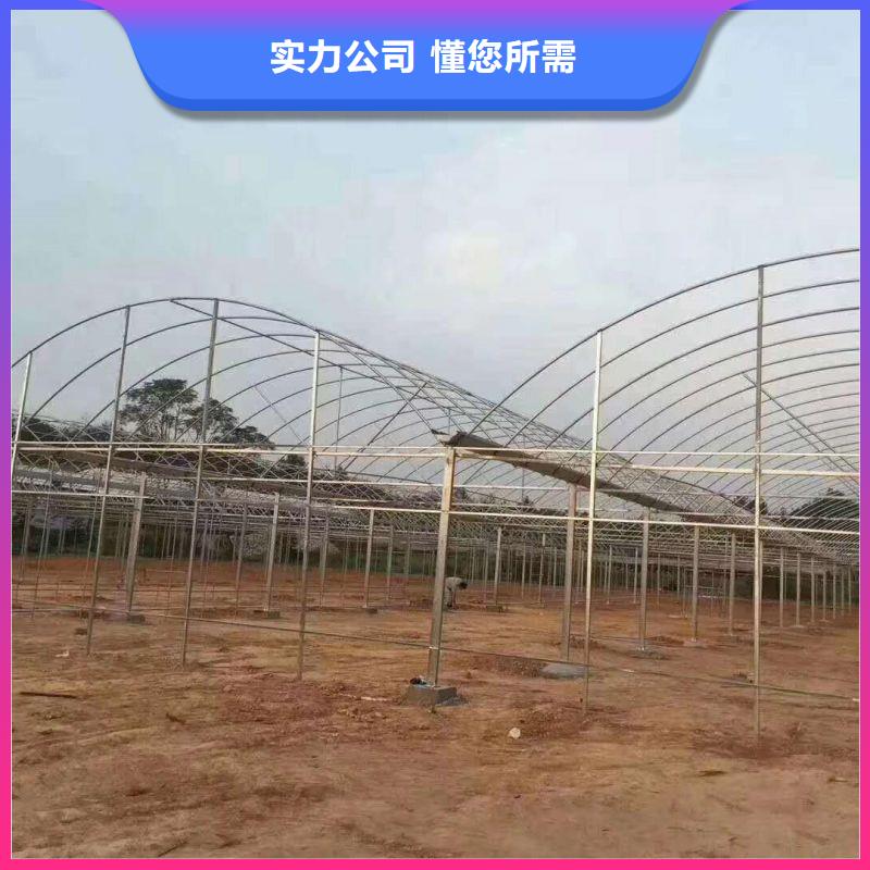 沧县镀锌栅栏管喜欢