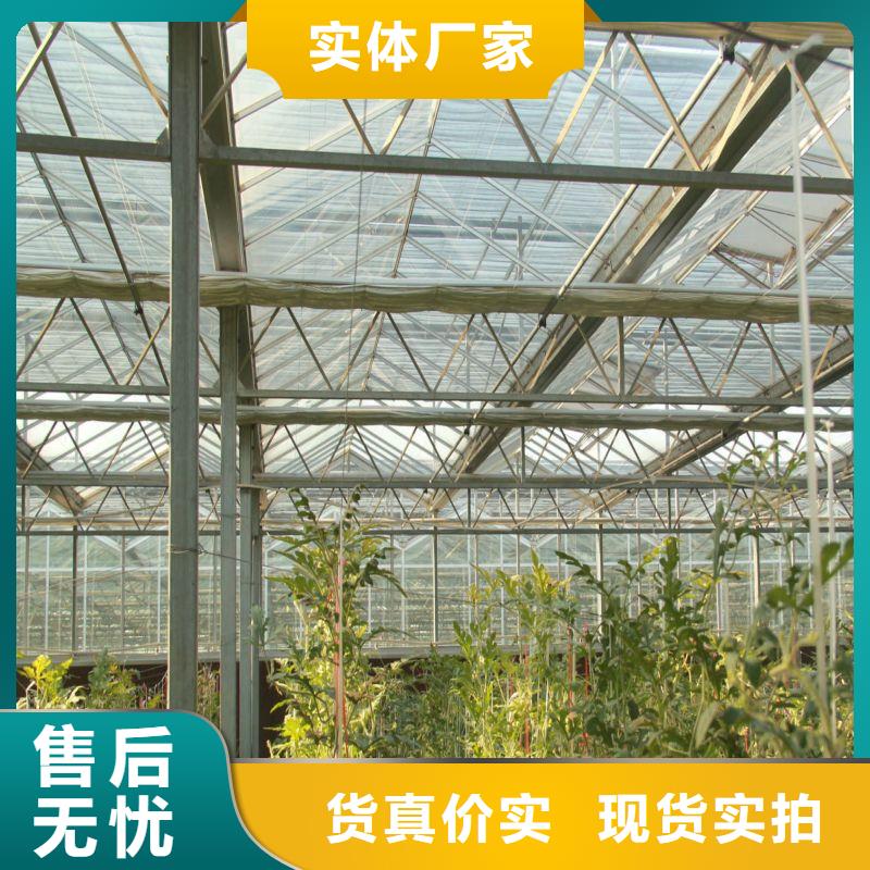 新蔡县农用大棚设备种植基地