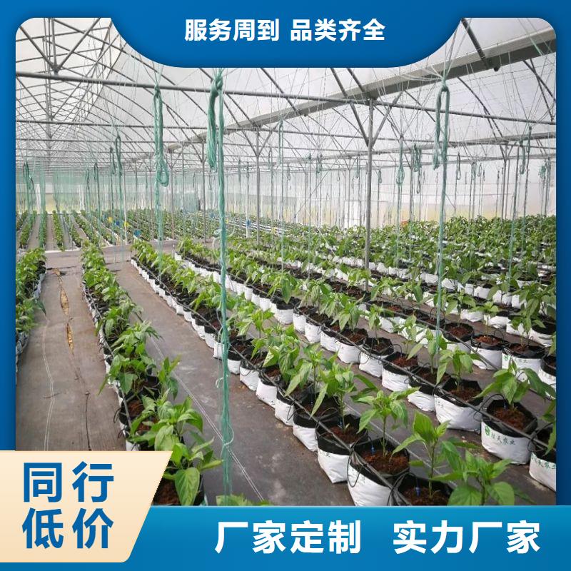 户县连栋大棚种植质量放心2024