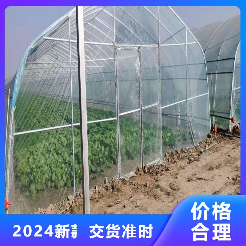 新北连栋大棚种植厂家2024