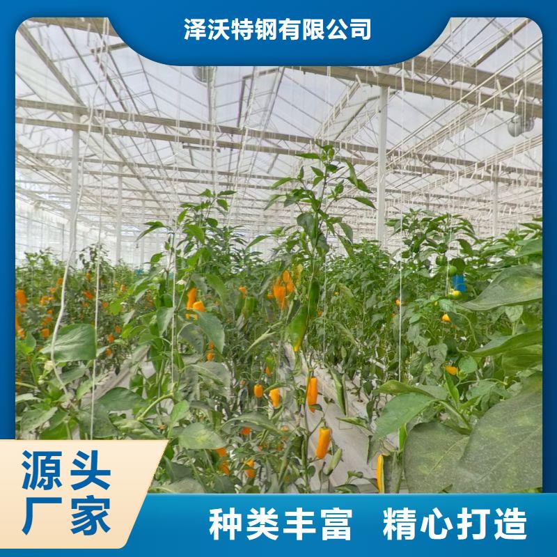 连栋大棚种植择优推荐2024