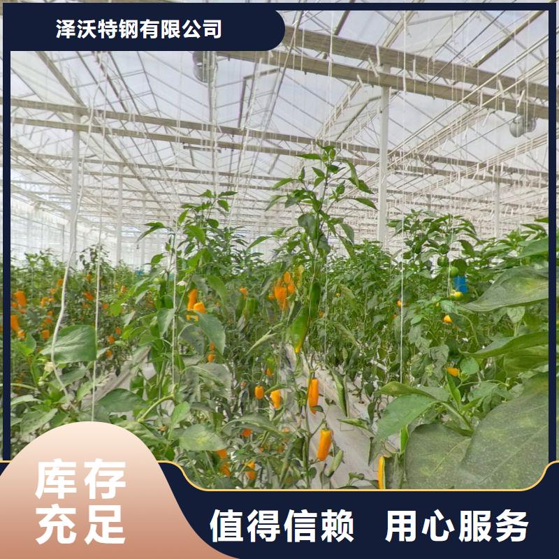 长汀塑料薄膜大棚信息推荐