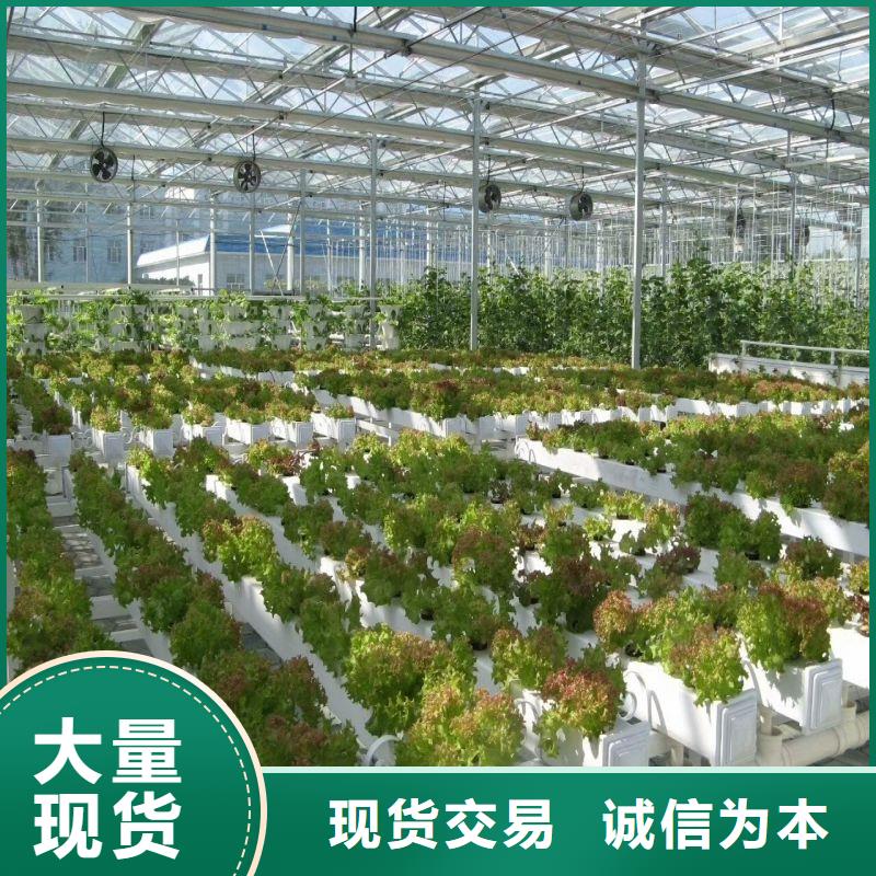 平乡县种植大棚售卖