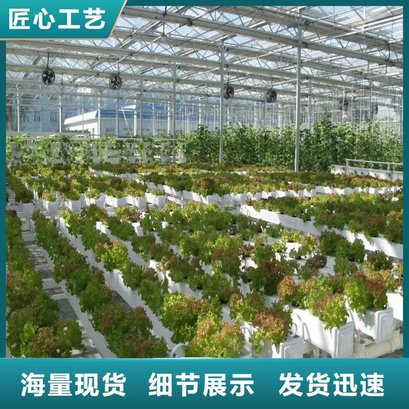 连栋大棚种植询问报价2024