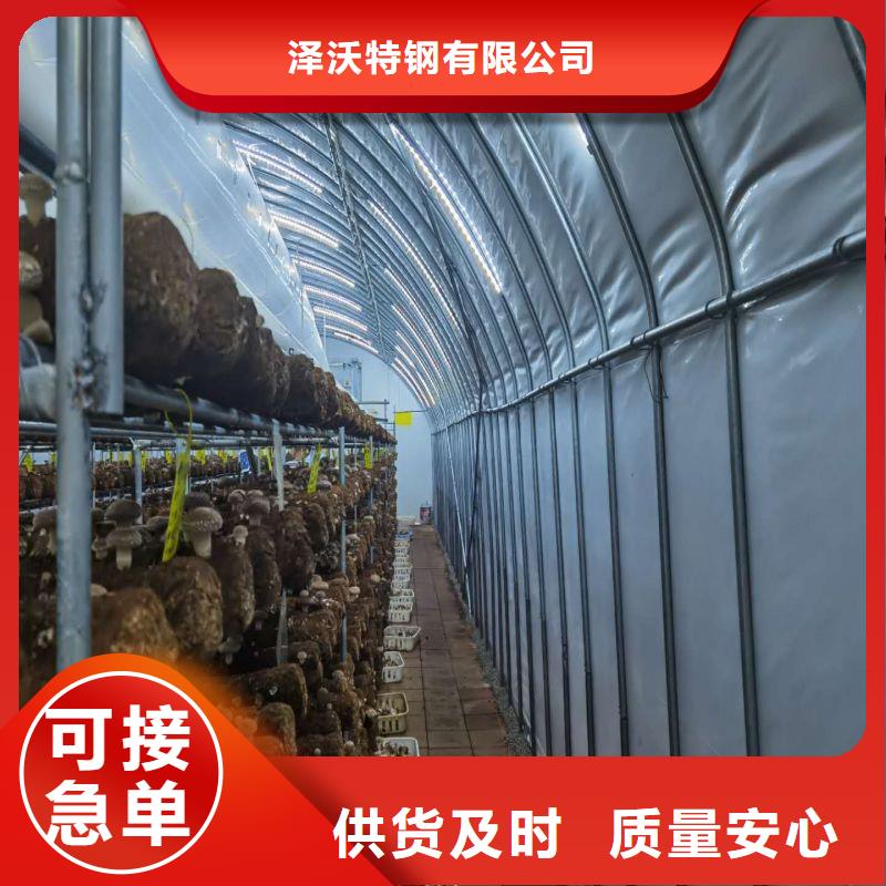 连栋大棚种植择优推荐2024