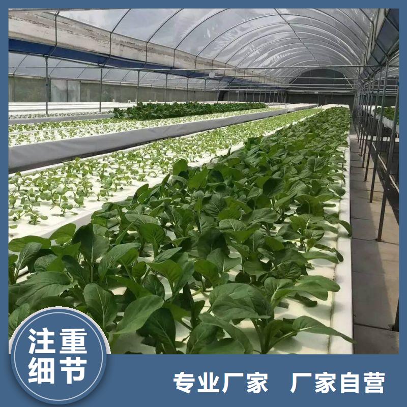 万载连栋大棚种植厂家2024