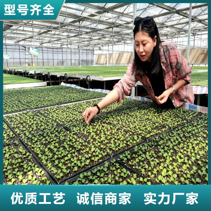 深州市种植大棚怎么卖