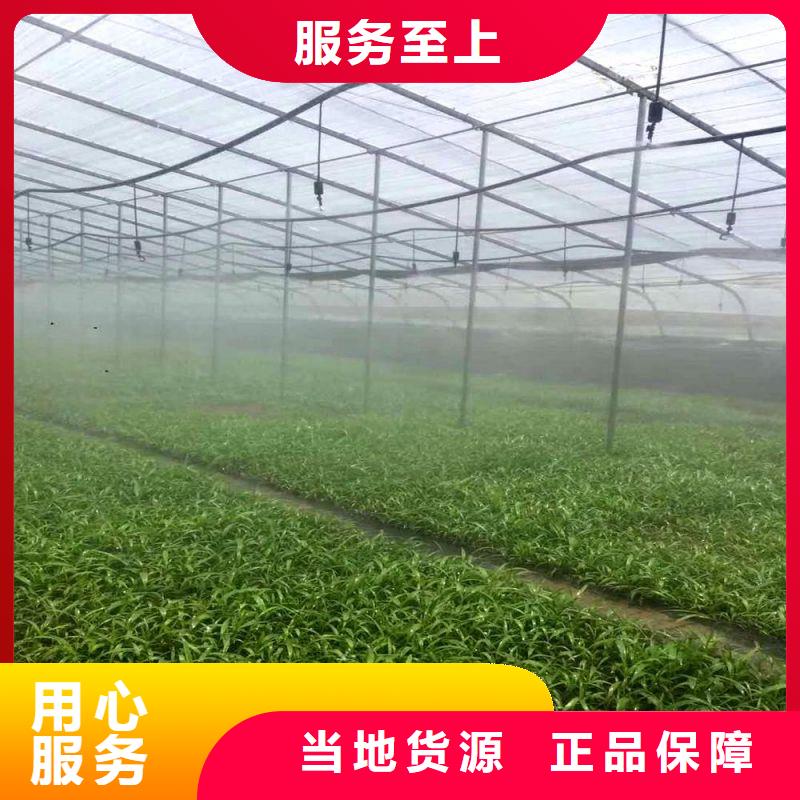 加工热镀锌管种植基地