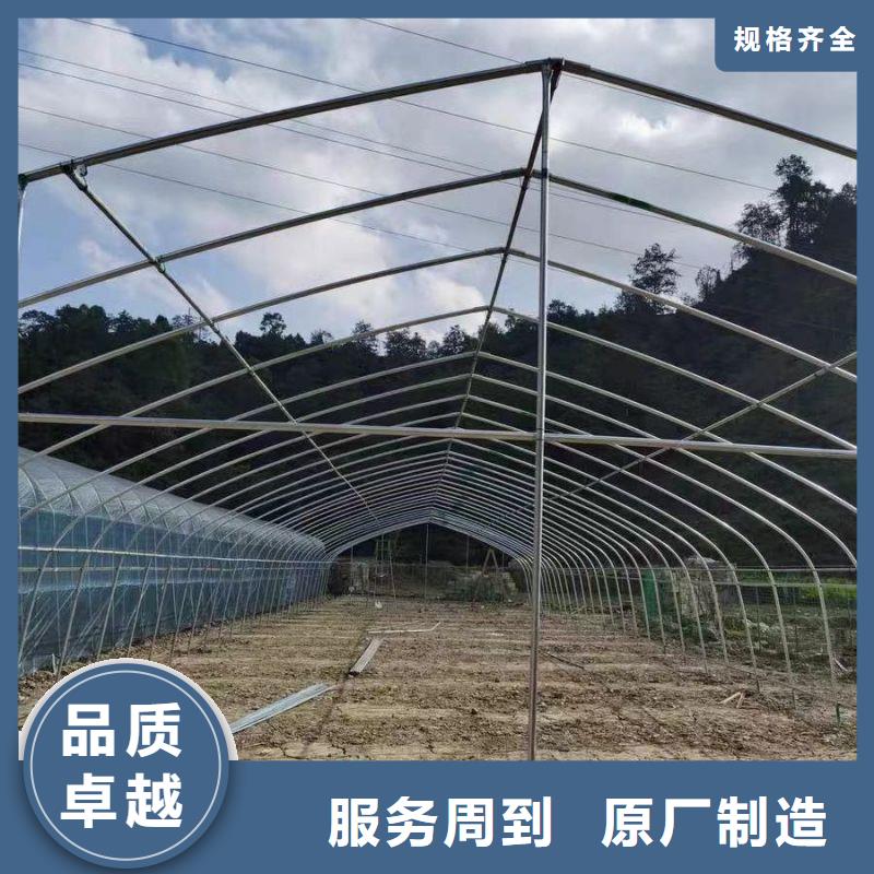 淳安柑橘大棚管折弯连栋塑料薄膜大棚骨架机