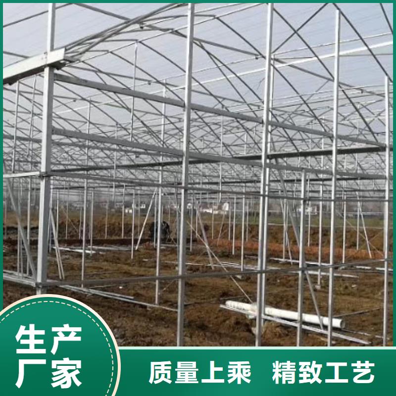 伊川县西瓜蔬菜大棚加工厂配件齐全