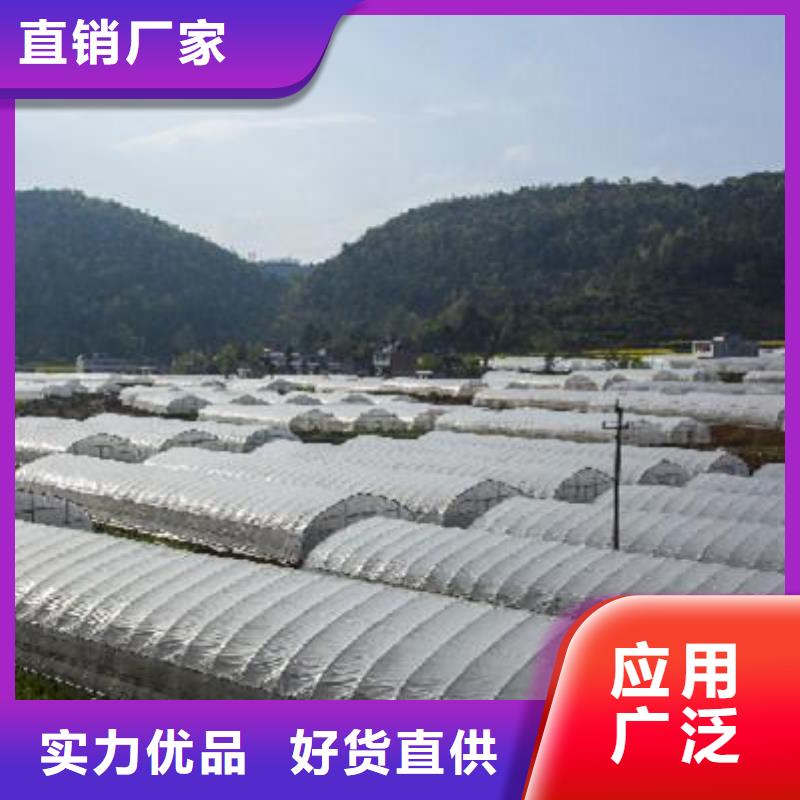 质优价廉的热镀锌大棚管基地