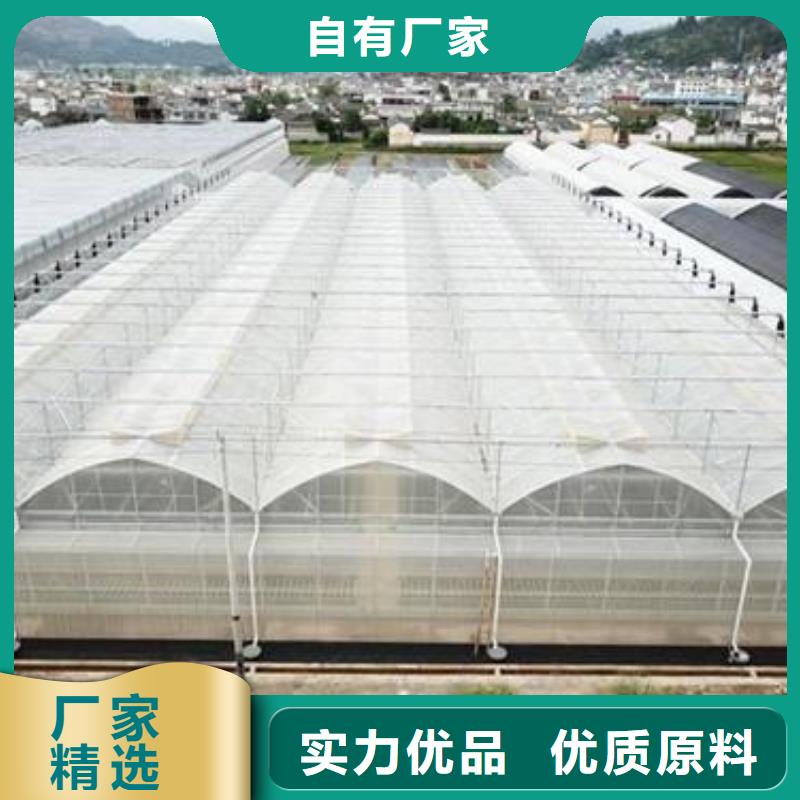 浦东新区镀锌连栋温室大棚管施工团队