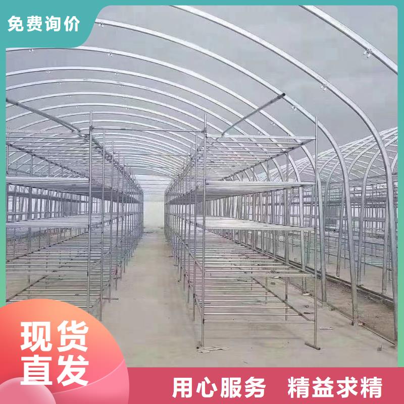 高青县连栋钢管骨架蔬菜大棚管安装方法及注意事项