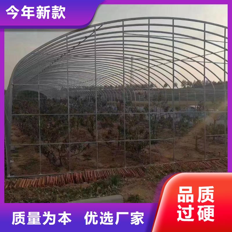 江阳蔬菜大棚管信赖推荐2024已更新