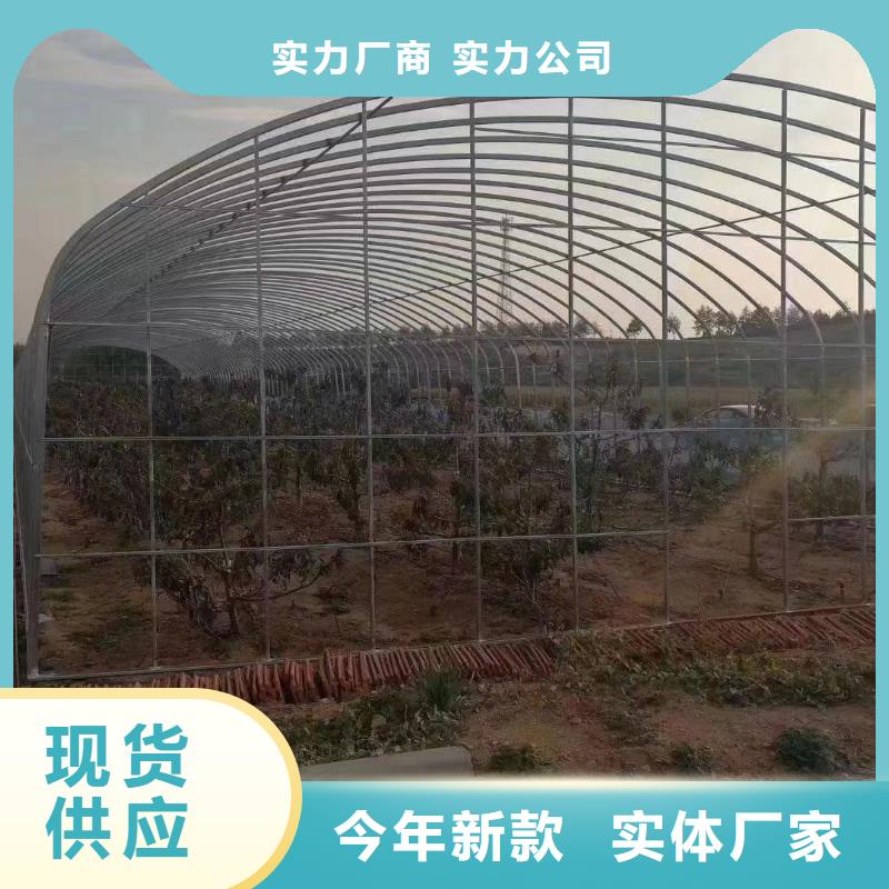 定做温室大棚管的基地