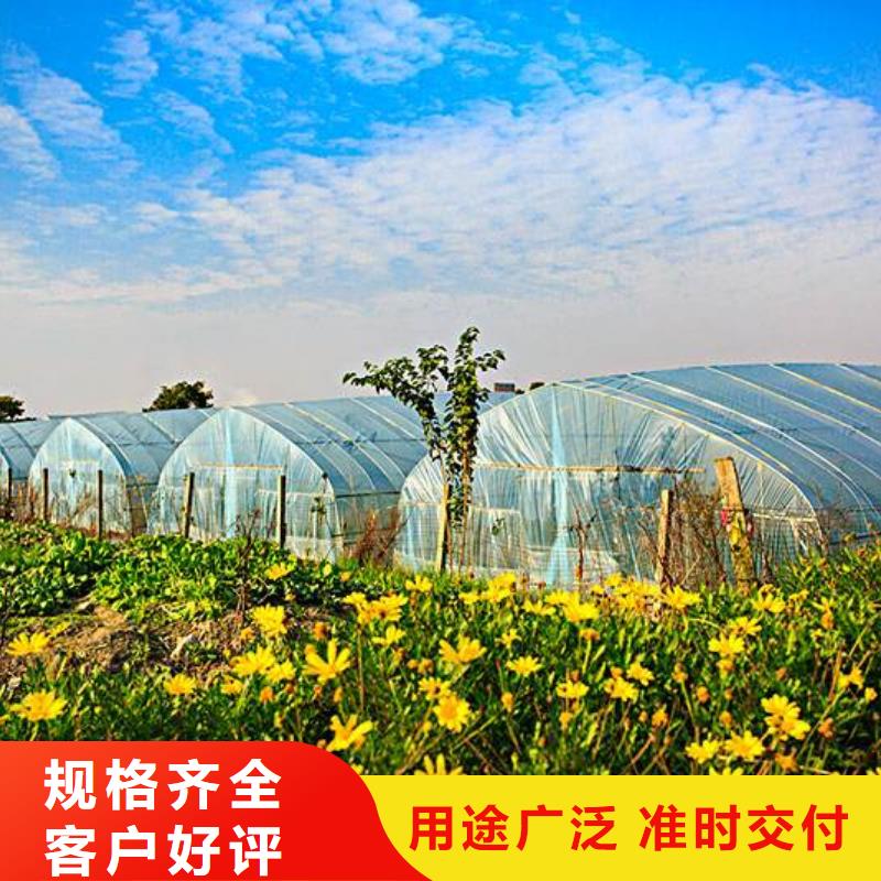 偃师大棚管厂家质量放心2024已更新