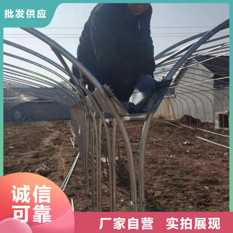 大棚管图片距您较近