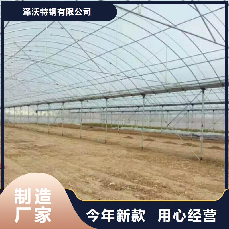 湖滨蔬菜大棚管现货直供2024已更新