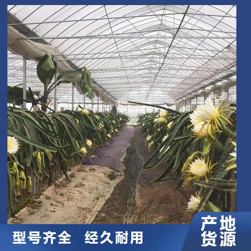 鲁山县供应连栋热镀锌管三纵四卡配置