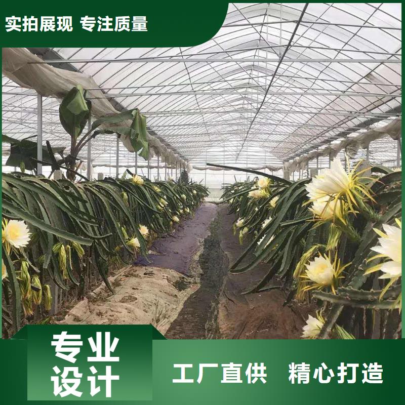 大棚管价格支持定制