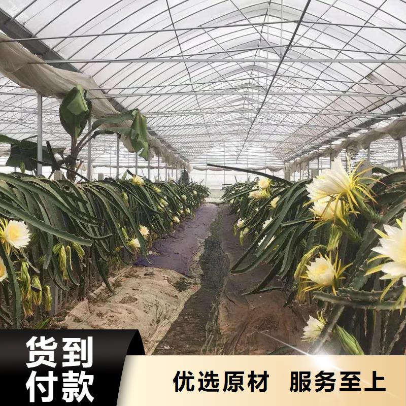 万宁市4分大棚管施工方案