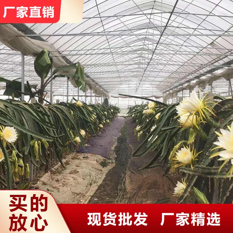 锦屏大棚管折弯学校