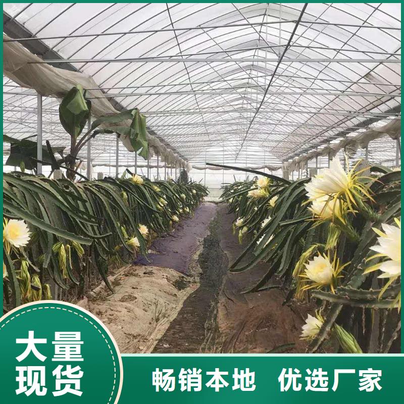 泊头蔬菜大棚管多重优惠2024已更新