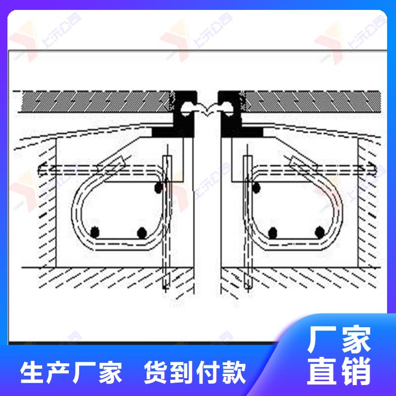 鼎湖区公路桥梁伸缩装置供应商