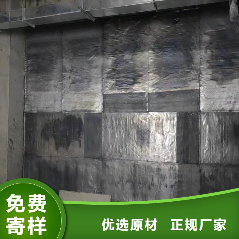 电动防护铅门全国供货