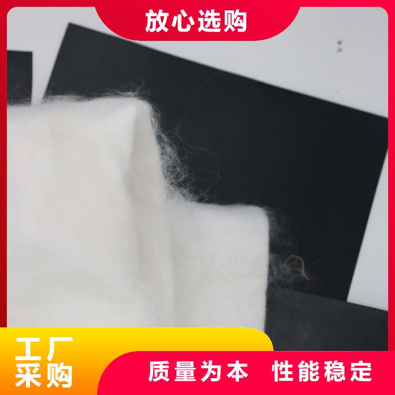 土工布【双向拉伸塑料格栅】甄选好厂家本地品牌
