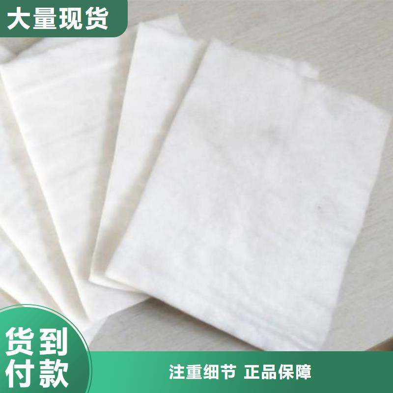 土工布【双向拉伸塑料格栅】甄选好厂家本地品牌