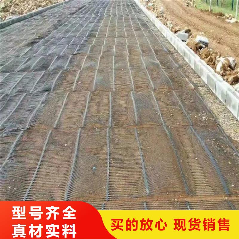 琼中县单向拉伸塑料土工格栅-单向拉伸塑料土工格栅批发价单向拉伸塑料土工格栅产品价格及规格