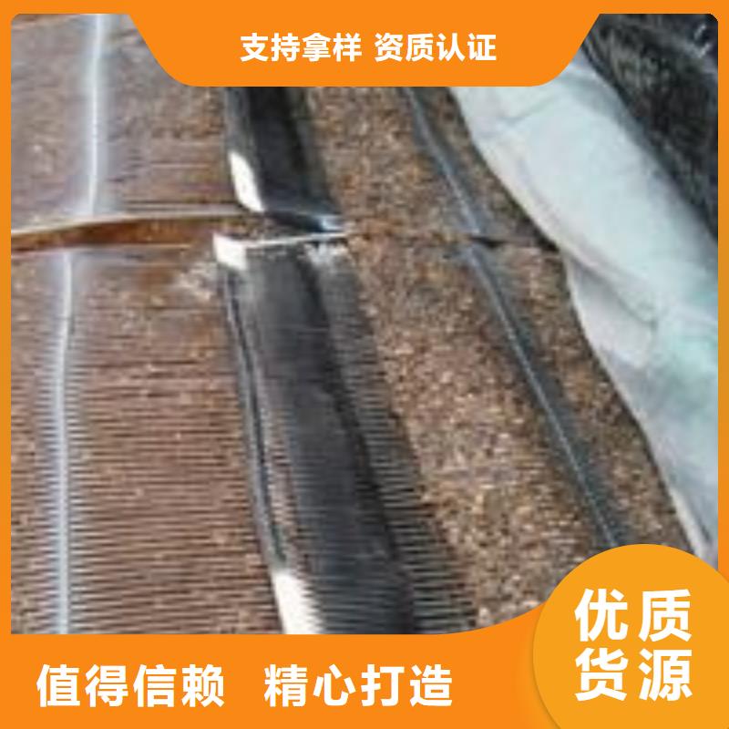 單向塑料土工格柵聚乙烯土工膜優良材質