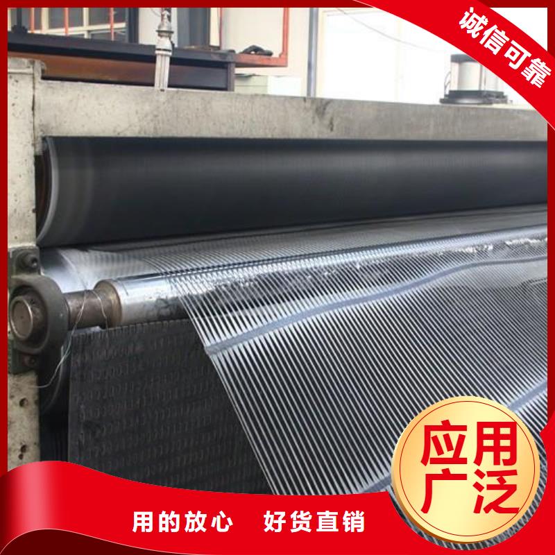 單向塑料土工格柵聚乙烯土工膜優良材質