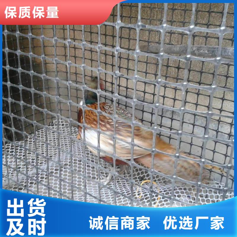 双向塑料土工格栅,【短丝土工布】实力工厂
