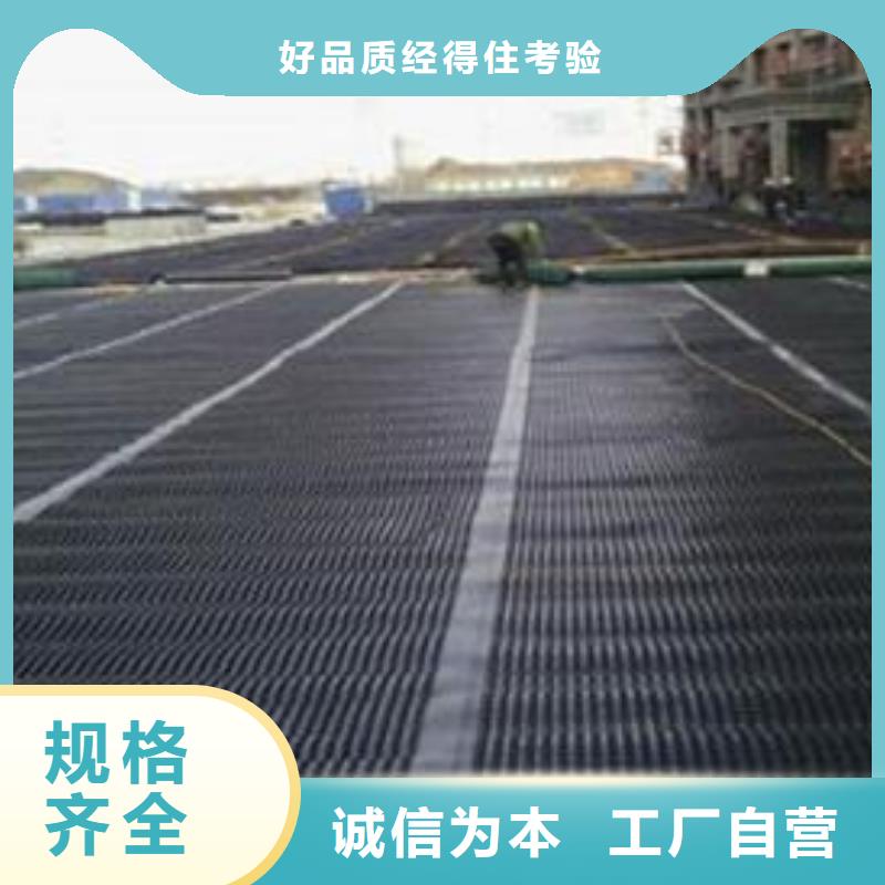 双向塑料土工格栅_凸结点钢塑土工格栅真材实料诚信经营