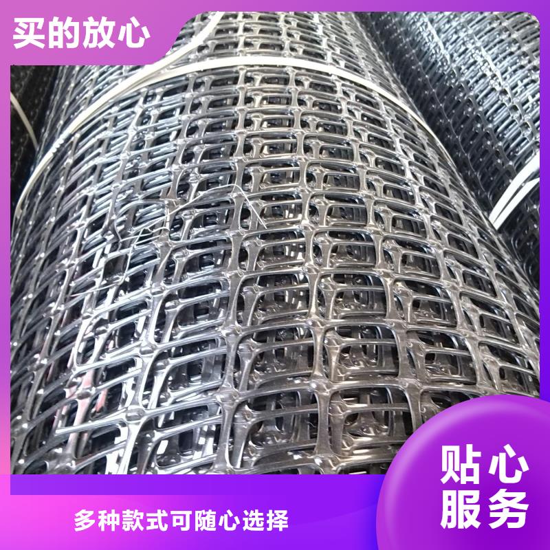 煤矿井下塑料网片抗阻燃双向塑料格栅土工布土工膜土工格栅