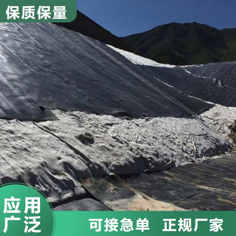 土工膜,膨潤土防水毯,防草布,長絲土工布