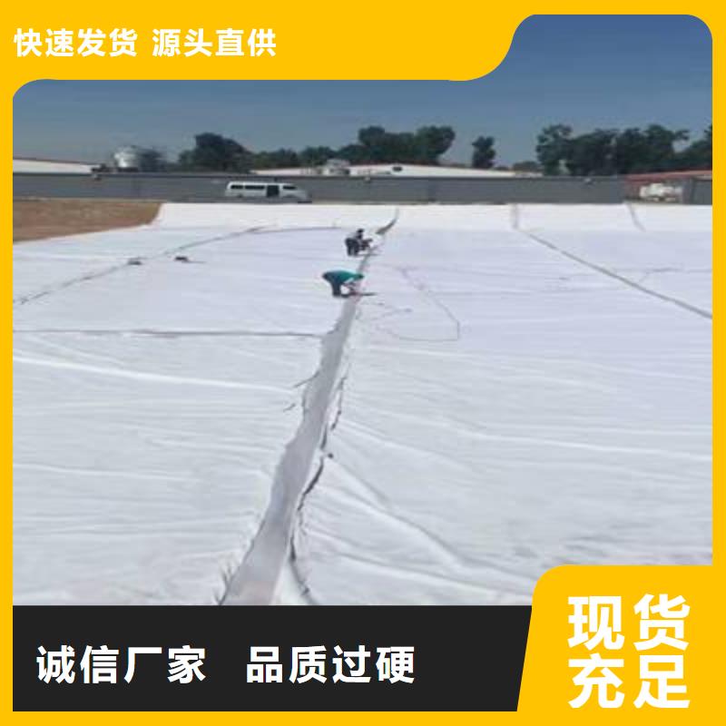 復(fù)合土工膜_綠色環(huán)保_質(zhì)量穩(wěn)定可靠