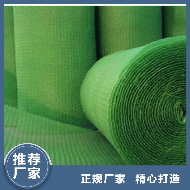 三维植被网三维复合排水网专注细节更放心