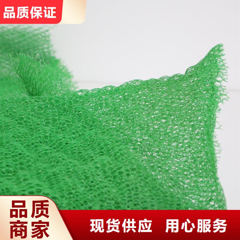 【三维植被网】_PP焊接土工格栅精品优选同城经销商