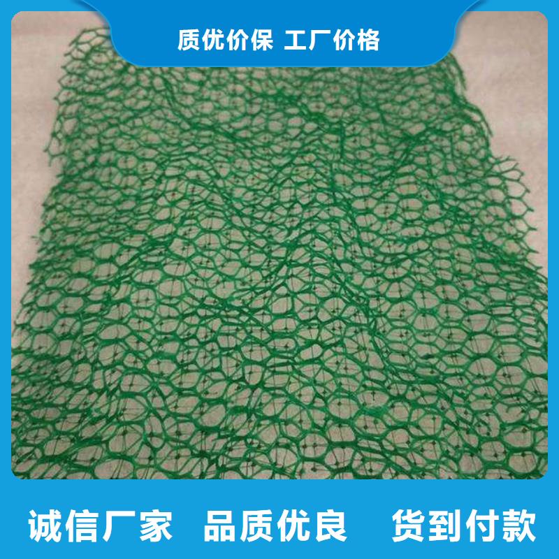 三维植被网_HDPE黑色土工膜细节之处更加用心