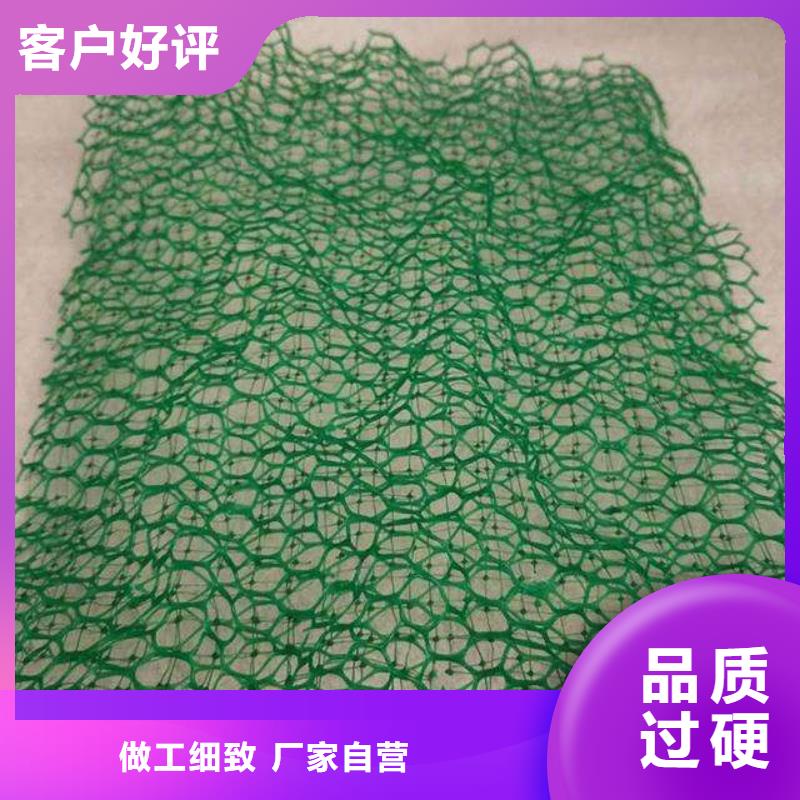 三维植被网蜂巢格室今日价格
