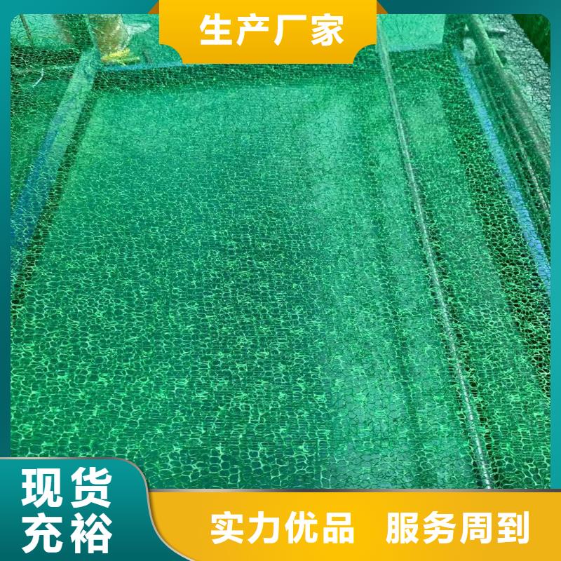 三维植被网-HDPE防渗膜价格_土工格室厂家批发_土工膜生产厂家