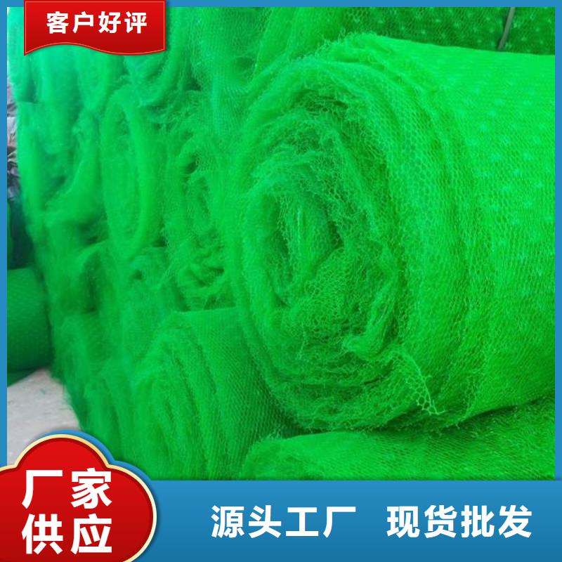 三維植被網(wǎng)-三維植被網(wǎng)價(jià)格/廠家/批發(fā)