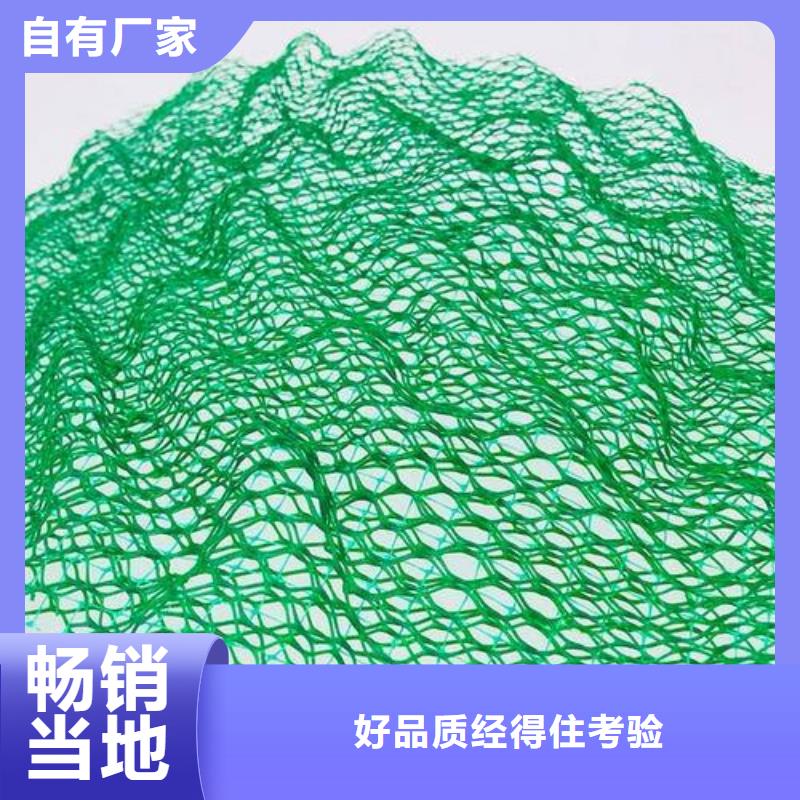 三维植被网聚乙烯土工膜用心做产品