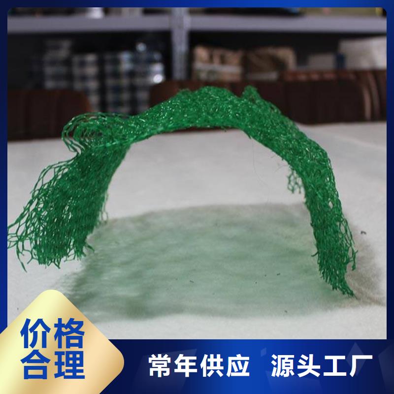 三维土工网垫_三维植被网有限公司报价