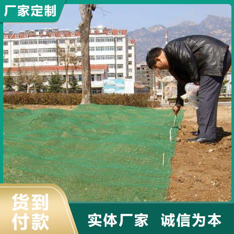 三维植被网蜂巢格室今日价格