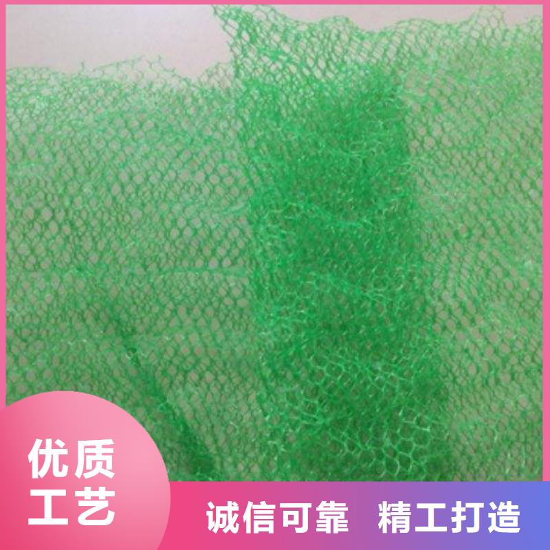 三維植被網-三維植被網廠家-三維植被網價格